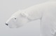 click to zoom