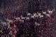 click to zoom