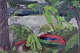 click to zoom