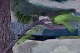 click to zoom
