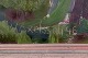 click to zoom
