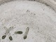 click to zoom