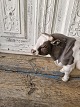click to zoom