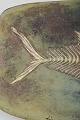 click to zoom