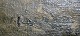 click to zoom