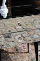 click to zoom