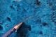click to zoom