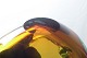 click to zoom