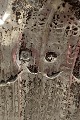click to zoom