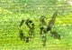 click to zoom