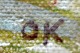 click to zoom