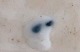 click to zoom