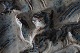 click to zoom