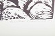 click to zoom