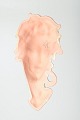 click to zoom
