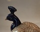 click to zoom