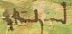 click to zoom