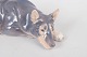 click to zoom