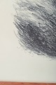 click to zoom