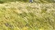 click to zoom