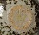 click to zoom