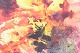 click to zoom