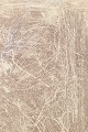 click to zoom