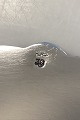 click to zoom