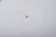 click to zoom