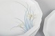 click to zoom