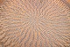 click to zoom
