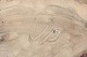 click to zoom