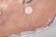 click to zoom