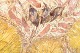 click to zoom click to zoom