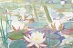 click to zoom click to zoom