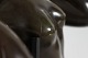 click to zoom