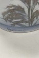 click to zoom click to zoom