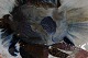click to zoom