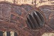 click to zoom
