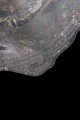 click to zoom