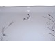 click to zoom