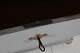 click to zoom
