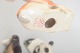 click to zoom