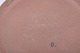 click to zoom click to zoom