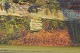 click to zoom