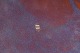 click to zoom click to zoom