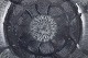 click to zoom