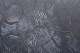 click to zoom