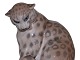 click to zoom