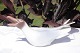 click to zoom
